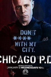 Поліція Чикаго (2 сезон)