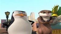 Пінгвіни Мадагаскару (3 сезон) 