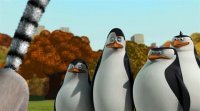 Пінгвіни Мадагаскару (3 сезон) 